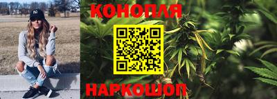 spice Гусиноозёрск
