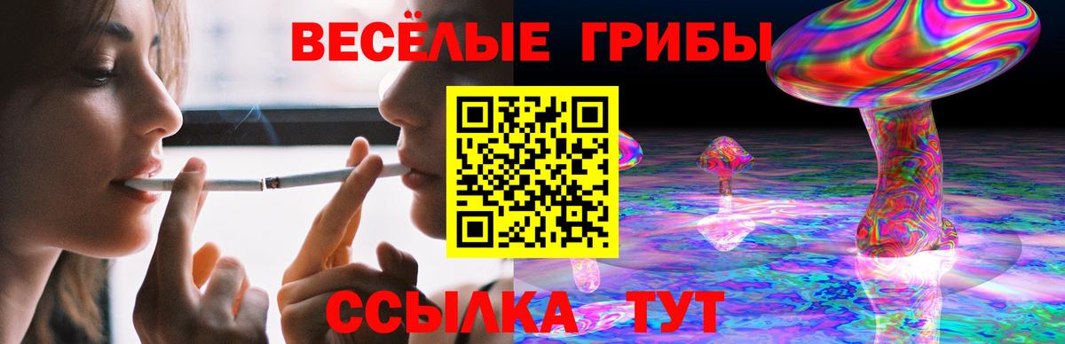 Галлюциногенные грибы прущие грибы Киров