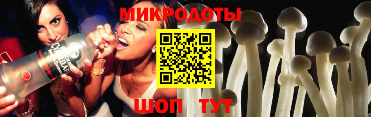 Киров  Псилоцибиновые грибы Psilocybine cubensis  Вход с VPN 